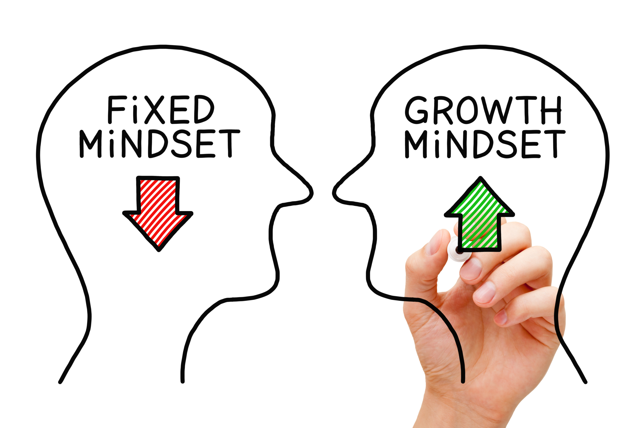 how to develop a business mindset